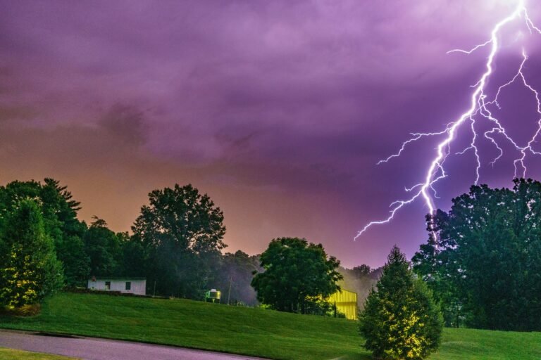 How to Calm Your Pet During Storms, Fireworks or or Other Loud Events